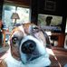 Kevin A Krell - Facebook