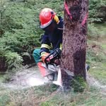 Kevin Krell - @kxvin_112 - Instagram