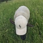 Ollie - @kevin.kulan - Instagram