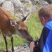 Kevin Lander - Facebook