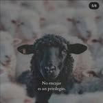 Kevin Lanzarote | Lifestyle🚀 - @kevinlanzarotee - Instagram