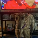 Kevin Leavitt - Facebook