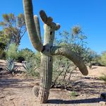 Kevin Leek - @kevinleek8282 - Instagram