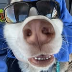 Kevin Leeser - @kevin_leeser - Instagram