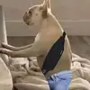 kevin_aleja0 - @kevin_aleja0 - TikTok