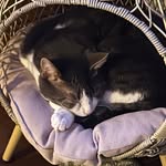 Kevin Lemire - @cashew2929 - Instagram