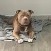 Kevin levasseur - @kevinlevasseur61 - TikTok
