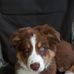 Kevin Liner Sr. - Facebook
