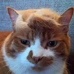 Kevin Lipski - @klipski596 - Instagram