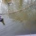 Kevin Loftin Riverfront Park - Facebook