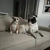 Kevin and Lucy’s World - @kevin.and.lucys.world - TikTok