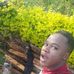 Lukas Ke - Facebook