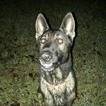 kevin L.Underwood - @kevinl.underwood - Instagram