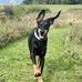 Kevin Lytton - Facebook