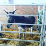 kevinlytton - @kevinlytton3 - Instagram
