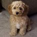 Kevin MacGregor - Facebook