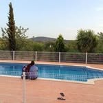Kevin MacNeil - @kevin.macneil.instagra - Instagram