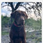 Kevin Macomber - @kevin.macomber - Instagram