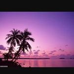 Kevin Di Maggio - @kevin.dimaggio - Instagram