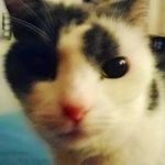 Kevin Maggs - @mgsy666 - Instagram