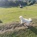 Kevin Maggs - Facebook