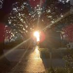 Kevin Malavé - @inami.michael - Instagram