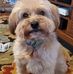 Kevin Maly - Facebook