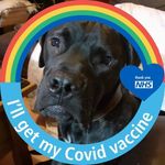 Kevin Mapp - @kevin.mapp.902 - Instagram
