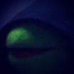 Kevin Marek Waszkiewicz - @vandoz3k - Instagram