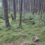 Kevin Marion - @kevinmarion1655 - Instagram