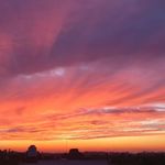 kevin - @kevin.martini - Instagram