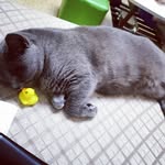 maxie - @kevin_maxie - Instagram
