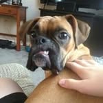 Kevin Mayhew - @klmayhew1 - Instagram