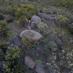 Kevin Mayne - @kevin.mayne.765 - Instagram