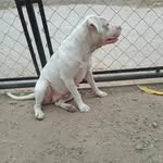 Kevin Mayorga - @kevinmayorga2003 - Instagram