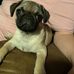 Kevin Mcadoo - Facebook