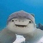 @kevin_mcbeans - Instagram