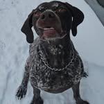 Kevin McCammon - @kevmccammon - Instagram