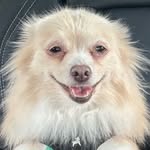 Kevin McCammon - @kevin_mccammon - Instagram