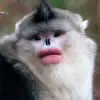 Kevin McCarter - @kevin.mccarter81 - TikTok