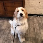 Kevin McComas - @kev_the_pyrdude - Instagram