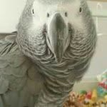Kevin McCray - @trashdump1 - Instagram