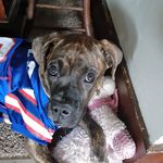 Kevin Mcdonell - @mcdonell.kevin - Instagram
