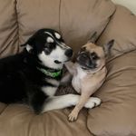Kevin McDonell - @k_mcdonell - Instagram