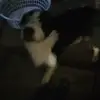 Kevin McEwan - @kevin.mcewan3 - TikTok