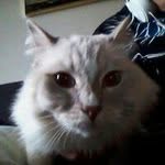 Kevin Mcglinchey Jr. - @awesome_sauce.haloe - Instagram