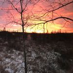 Kevin McGrane - @mcgrane.kevin - Instagram
