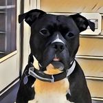 Kevin McLane - @kevin.mclane.18 - Instagram