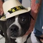 Kevin McNeese - @kevinmcneese777 - Instagram