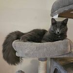 Kevin McNeese - @mcneesekevin - Instagram